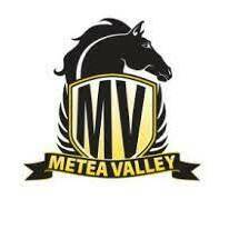 Team Page: Metea Valley High School
